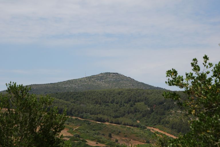 Monte Doglia